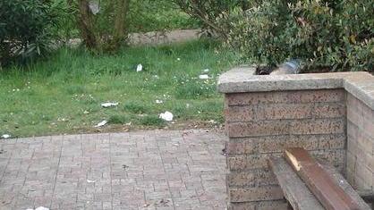 Degrado e vandali, negli spazi pubblici regna l’inciviltà