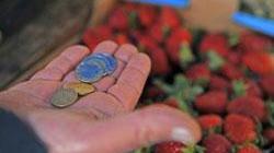 Più della metà dichiara meno di ventimila euro