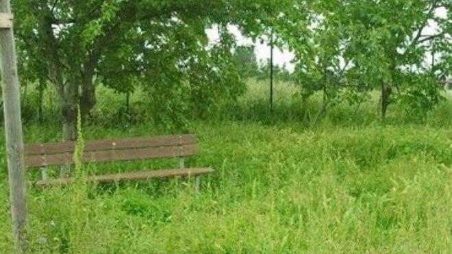 «Il sindaco deve essere multato»