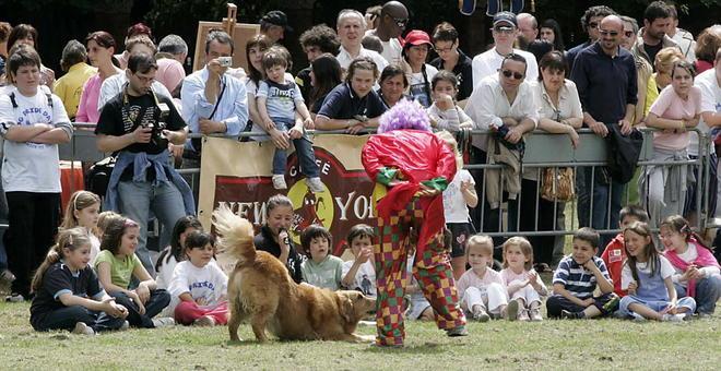 In pineta la festa dell’orgoglio canino