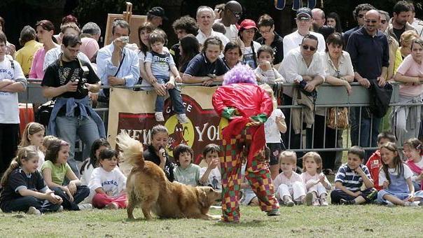 In pineta la festa dell’orgoglio canino