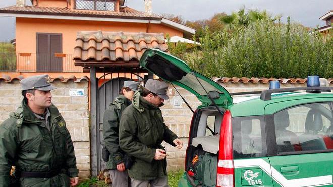 Bara con una croce nel bosco