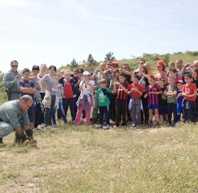 La poiana ferita ritrova la libertà 