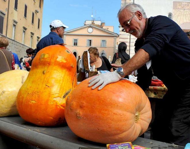 Via al mercatino biologico in piazza Costituzione 