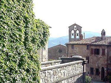 Venti posti tra le viti delle tenuta 