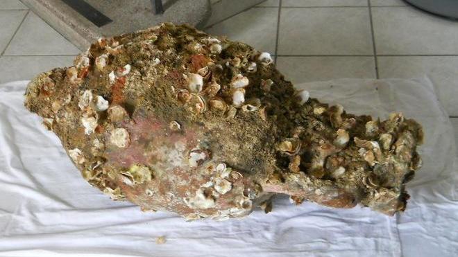Antica anfora riaffiora dagli abissi