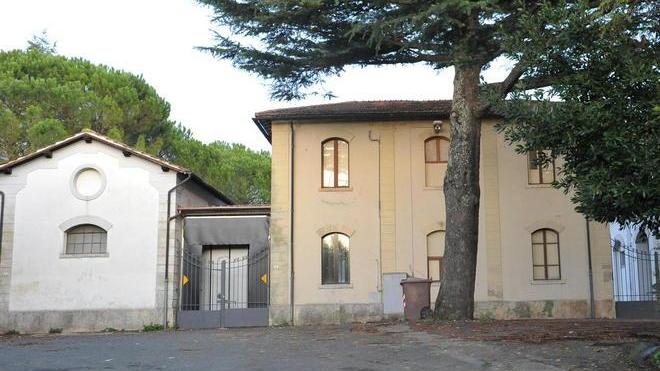 Gestione del mattatoio Gli allevatori incalzano
