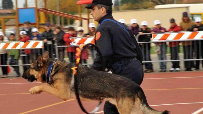 Cacciatori, gara cinofila di beneficenza alla Bucaccia