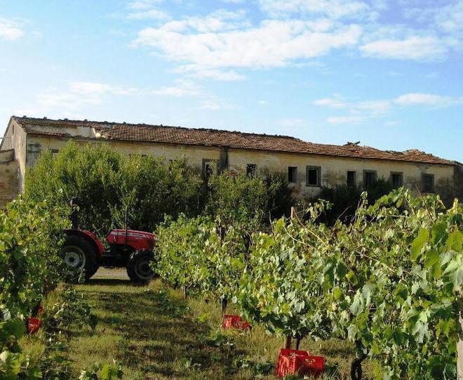 Alla scoperta dei “nostri” vini d’eccellenza 