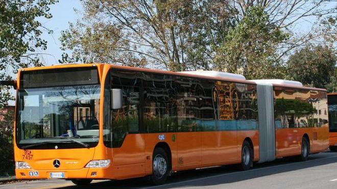 Vecchiano dice sì al piano per il trasporto pubblico