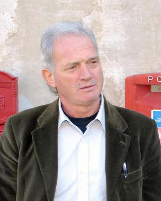 Caso tribune, Giannoni: «Per chi è fuori c’è il noleggio» 