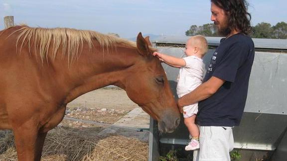 Sfrattata la onlus che salva gli animali dal macello