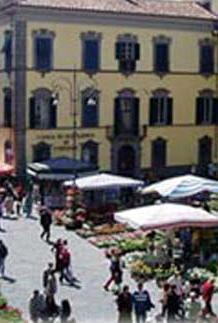 Ci siamo, da venerdì si parte al via Lady e Mister Commercio 