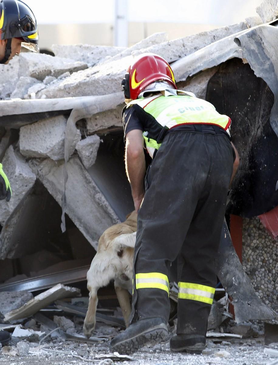 «Quel camion mi ha salvato: un miracolo» 