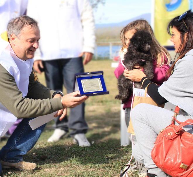 Dav, nuovo consiglio e un bilancio positivo