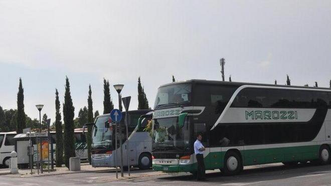 I bus turistici sono un tesoro da 5 milioni