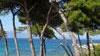 Pianosa, l’isola che piace sono già 2000 i visitatori