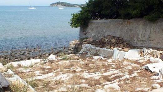 Visite ai nuovi scavi a San Cerbone