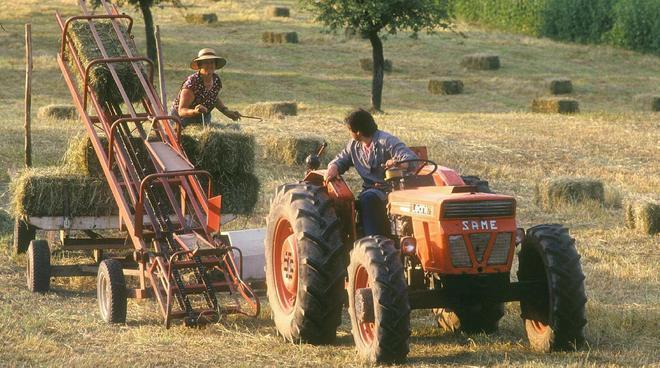 Un aiuto alle imprese agricole per accedere ai fondi