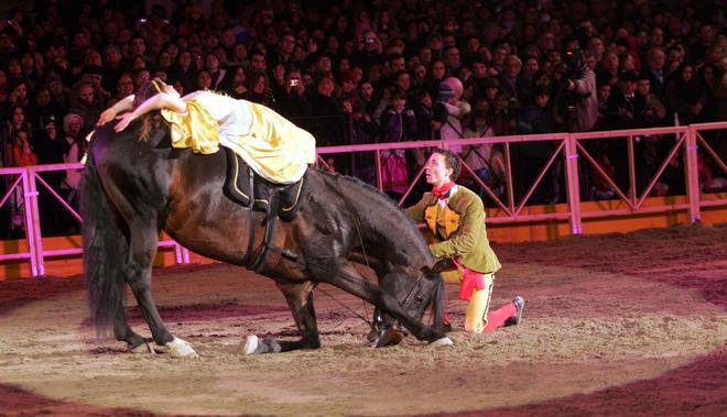 Cavalli protagonisti per tutto il weekend di spettacoli e giochi 