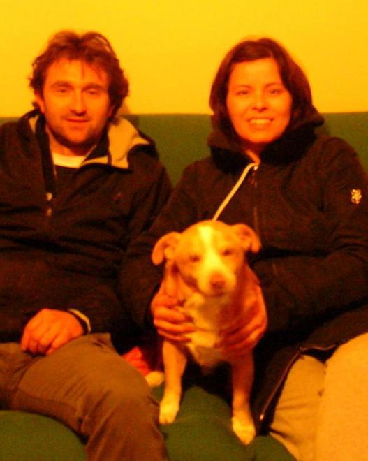 Il cane assiste alle nozze dei padroni