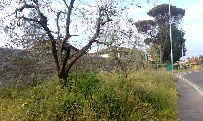 Mercatino delle antichità e dell’artigianato 