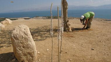 I Kibbutz al festival del viaggio