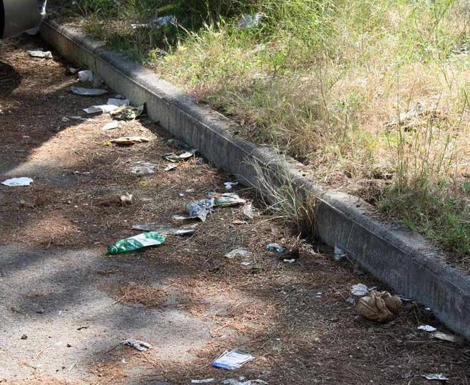 Sos degrado allo stadio Allarme di genitori e tifosi 