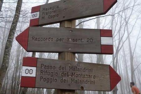 Sette pistoiesi al Trail del Malandrino