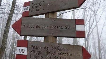 Sette pistoiesi al Trail del Malandrino