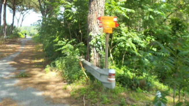In bici tra maxi buche spazzatura e degrado