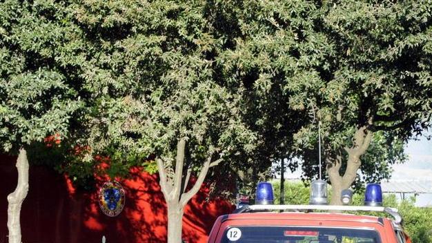 Fiamme in una scuola di equitazione Vigili del fuoco in azione a Rispescia