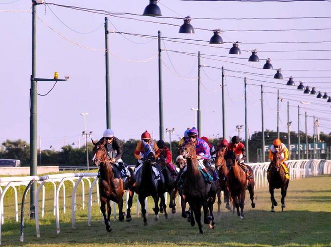 Ippodromo Caprilli, salta l’avvio delle corse 