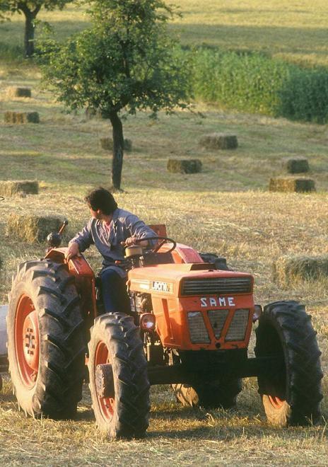Michele, un aiuto dalla Regione per fare l’agricoltore 