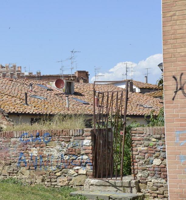 Cavallerizza di nuovo regno del degrado 