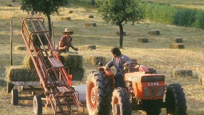 Nove milioni per i giovani agricoltori