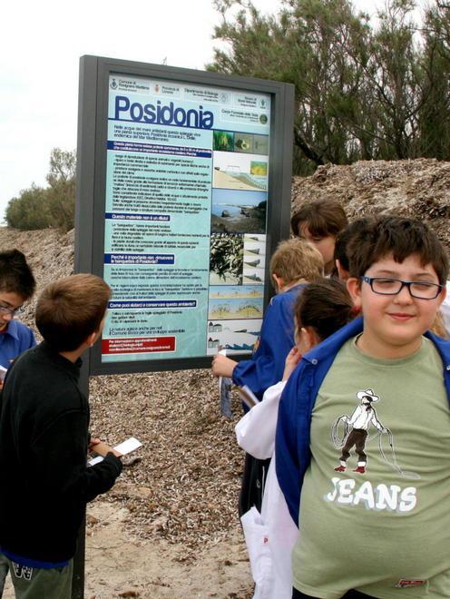 Gli alunni scoprono le posidonie 