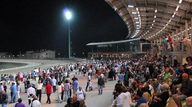 Ippodromo, la Baldi: «Vogliamo valorizzarlo»