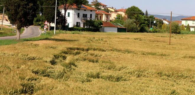 Il mistero dei cerchi nei campi di grano tra Burello e Torre 