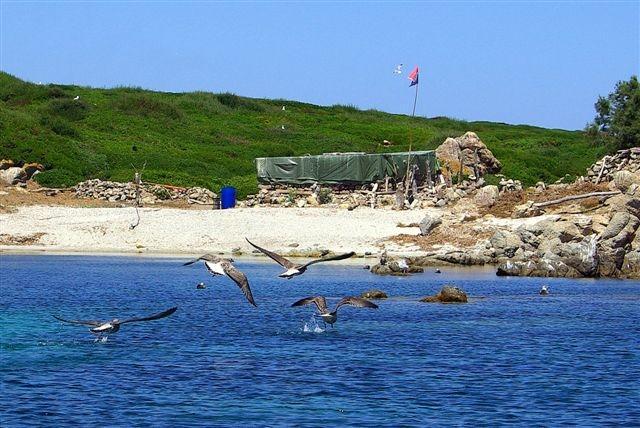 Occupazione dell’isola di Mal di Ventre, Meloni condannato 