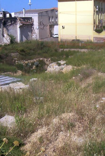 Resti romani invasi da erbacce e zecche