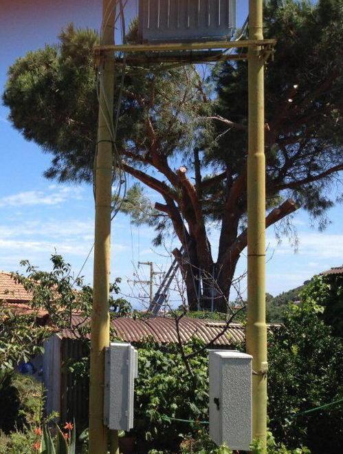Muore folgorato mentre pota un pino 