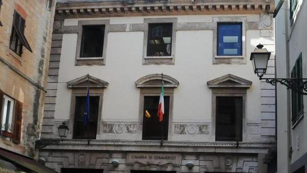 Più numerose le imprese del terziario