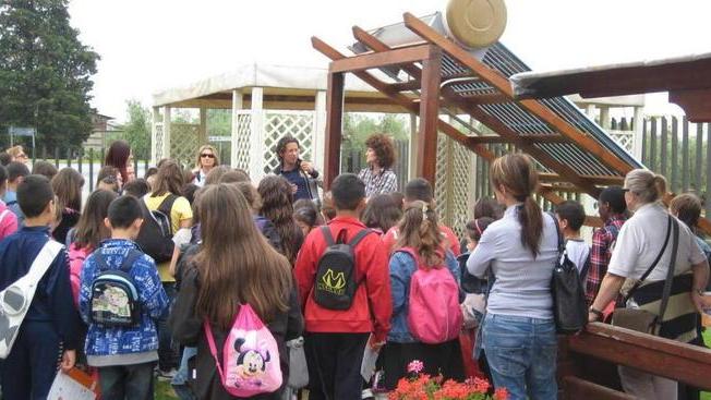Bambini a scuola di energie rinnovabili da Spagnesi