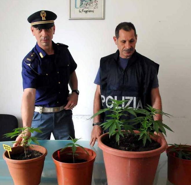Coltivava piante di marijuana in casa, giovane nei guai