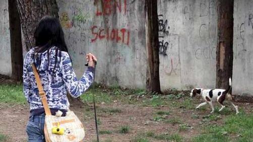 Cani avvelenati, sopralluogo ad Avenza