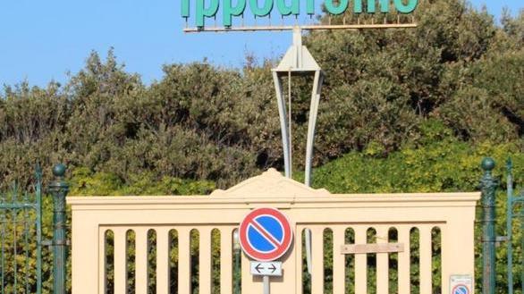 Alfea al Comune: prendere o lasciare