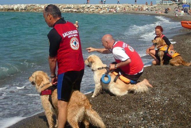 Ecco i cani “angeli” dei regatanti
