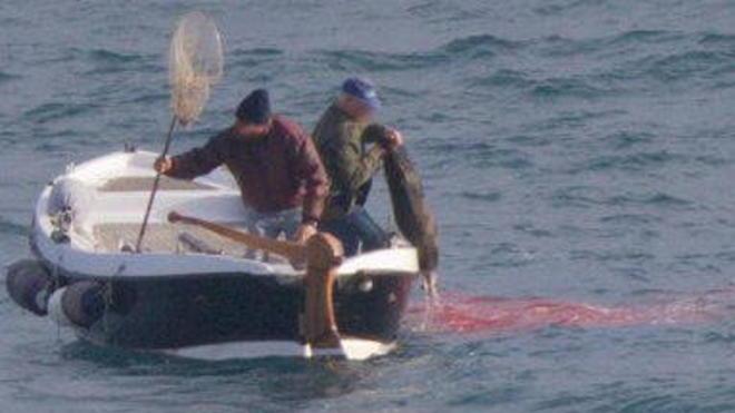 Cinghiale ucciso in mare due cacciatori a processo