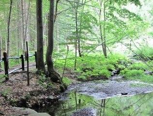 Riapre domenica l’Orto Botanico Forestale 